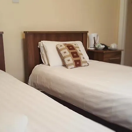 黑泽而布鲁克旅馆 都柏林